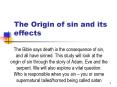 The Origin of sin and its effects The Bible says death i
