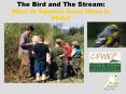 The Bird and The Stream: What do Riparian Areas Mean t