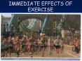 immediate effects of exercise effects of regular trainin