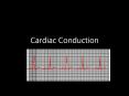 Cardiac Conduction Physiology of Cardiac Conduction Th