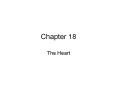 Chapter 18 The Heart Heart Overview Heart anatomy Cardia