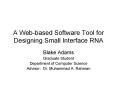 A Web-based Software Tool for Designing Small Interface RN