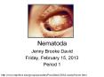 Nematoda Jenny Brooke David * Period 