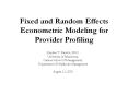 Fixed and Random Effects Econometric Modeling for Provide