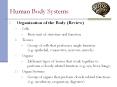 Human Body Systems Organization of the Body (Review) Cell