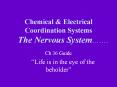 The Central Nervous System: 1) Spinal Cord 2) Brain medull