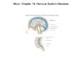 Micro. Chapter 19, Nervous System Diseases Micro. Chapte
