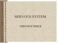 NERVOUS SYSTEM NERVOUS TISSUE Nervous System - Genera