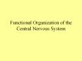 Functional Organization of the Central Nervous Syste
