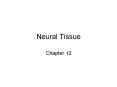Neural Tissue Chapter 12 Include: Catecholamines   dopamine