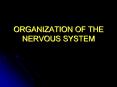 ORGANIZATION OF THE NERVOUS SYSTEM FUNCTIONS SENSORY MOTO