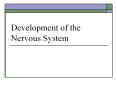 Development of the Nervous System Development of the CNS Th