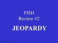 FISH Review #2 JEOPARDY S2C06 Jeopardy Review Nervous syste