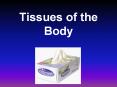 Tissues of the Body Epithelial Tissue Epithelial Tissu