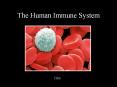 The Human Immune System Video What is the immune system? Th