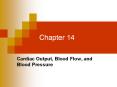 Chapter 14 Cardiac Output, Blood Flow, and Blood Pressur