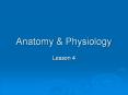 Anatomy & Physiology Lesson 4 HISTOLOGY Histology is th