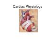 Cardiac Physiology Cardiac Physiology - Anatomy Revie