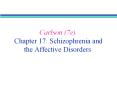 Chapter 17: Schizophrenia and the Affective Disorder