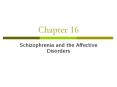 Chapter 16 Schizophrenia and the Affective Disorder
