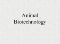 Animal Biotechnology Animal Biotech Animals provide a numbe