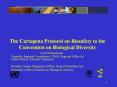 The Cartagena Protocol on Biosafety to the Convention o