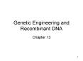 Genetic Engineering and Recombinant DNA Chapter 1