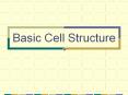 Basic Cell Structure Cells Basic building blocks of lif