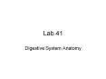 Lab 41 Digestive System Anatomy For Lab Practical 2 Be abl