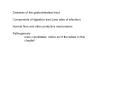 Diseases of the gastrointestinal tract Components o