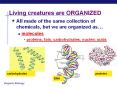 Living creatures are ORGANIZED All made of the sam