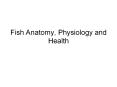 Fish Anatomy, Physiology and Health The anatomy of a fis