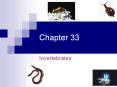 Chapter 33 Invertebrates Let s meet the   Invertebrates Lif