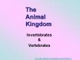 The Animal Kingdom Invertebrates & Vertebrate