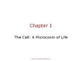 Chapter 1 The Cell: A Microcosm of Life Cells--the essenc