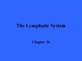 The Lymphatic System Chapter 20 Introduction The lymphati