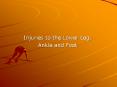 Injuries to the Lower Leg, Ankle and Foot Bony Anatomy Bon