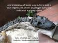 Acid preparation of fossils using sulfamic acid, a wea