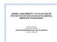DISE O, SEGUIMIENTO Y EVALUACION DE PROYECTOS DE INYECCIO