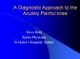 A Diagnostic Approach to the Acutely Painful knee Steve Rei