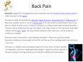 Back Pain Back pain is pain felt in the back that usuall