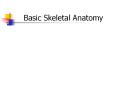 Basic Skeletal Anatomy Skeletal System - Functions Support 