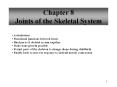 Chapter 8 Joints of the Skeletal System Articulation