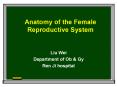 Anatomy of the Female Reproductive System Liu Wei Departmen