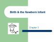 Birth & the Newborn Infant Chapter 3 What is the norma