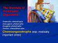 The Diversity of Prokaryotic Organisms Anaerobic chemotroph