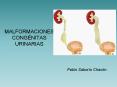 MALFORMACIONES CONG NITAS URINARIAS Pablo Sabor o Chac n 