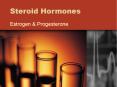 Estrogen & Progesterone The Ovarian Cycle Follicular Stag
