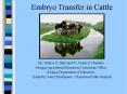 Embryo Transfer in Cattle By: Valerie D. Blair and Dr. Fran