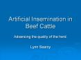 Artificial Insemination in Beef Cattle Advancing the qualit